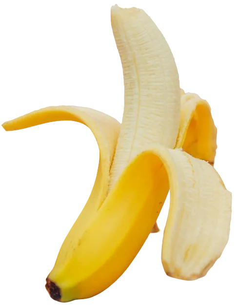 Monky